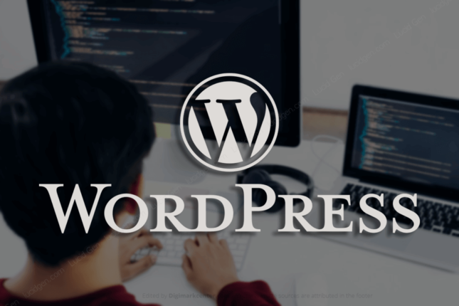 How to fix The link you followed has expired WordPress