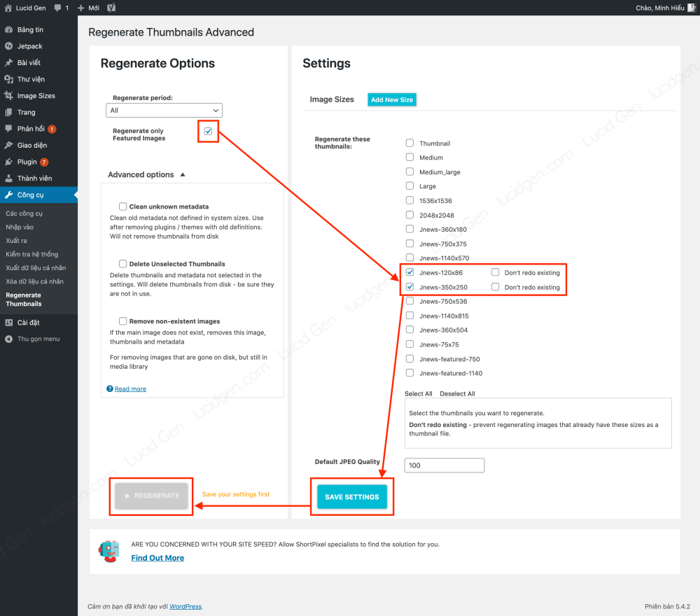 Delete unused thumbnails in WordPress -  Settings to regenerate thumbnails for the image being used as the post's profile picture