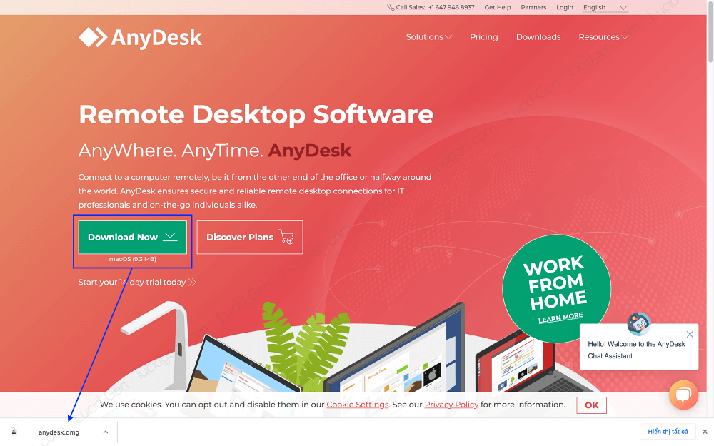 Anydesk - Giải pháp thay thế Teamviewer cho Mac
