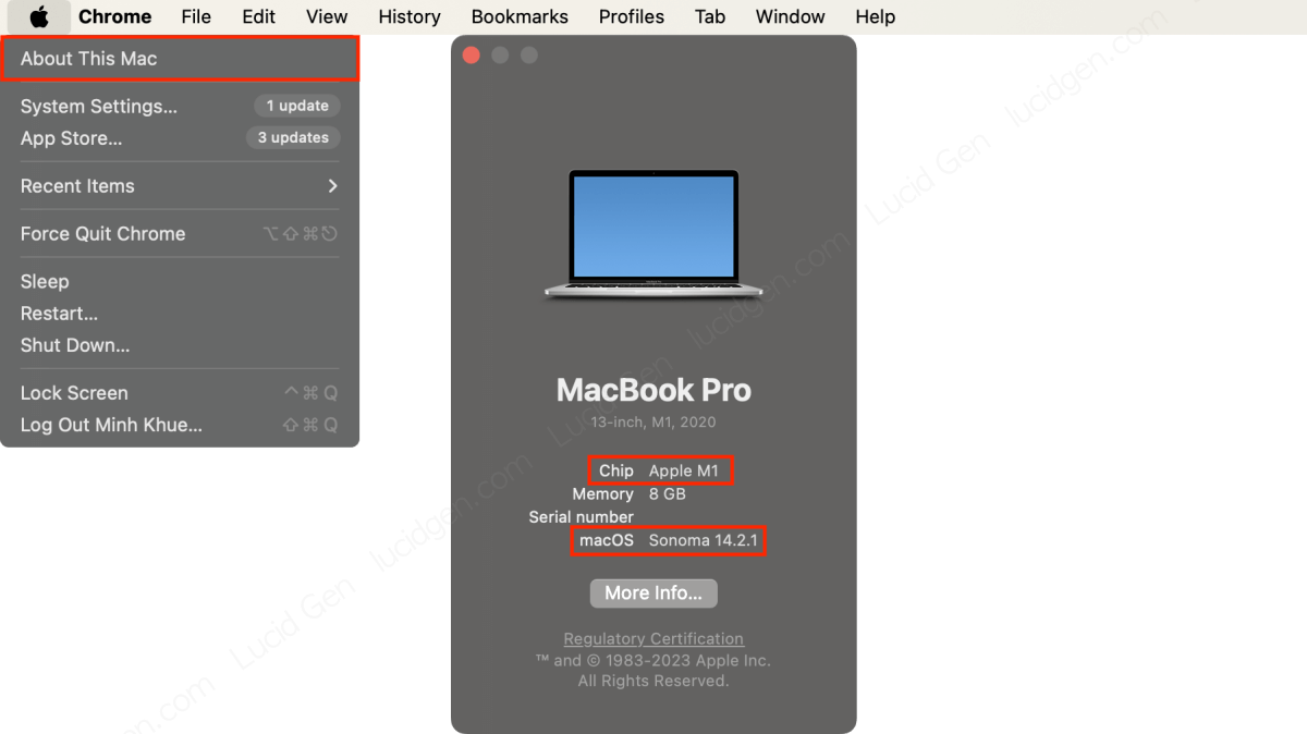 Kiểm tra chip và macOS của Mac